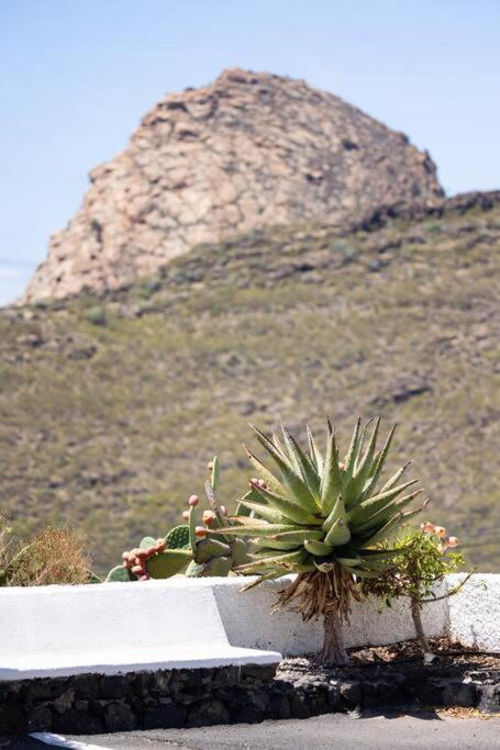 El Retamar, Naturaleza Y Paisajes Santiago del Teide Zewnętrze zdjęcie